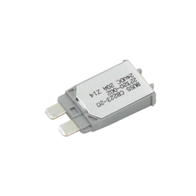 S-21839 v1