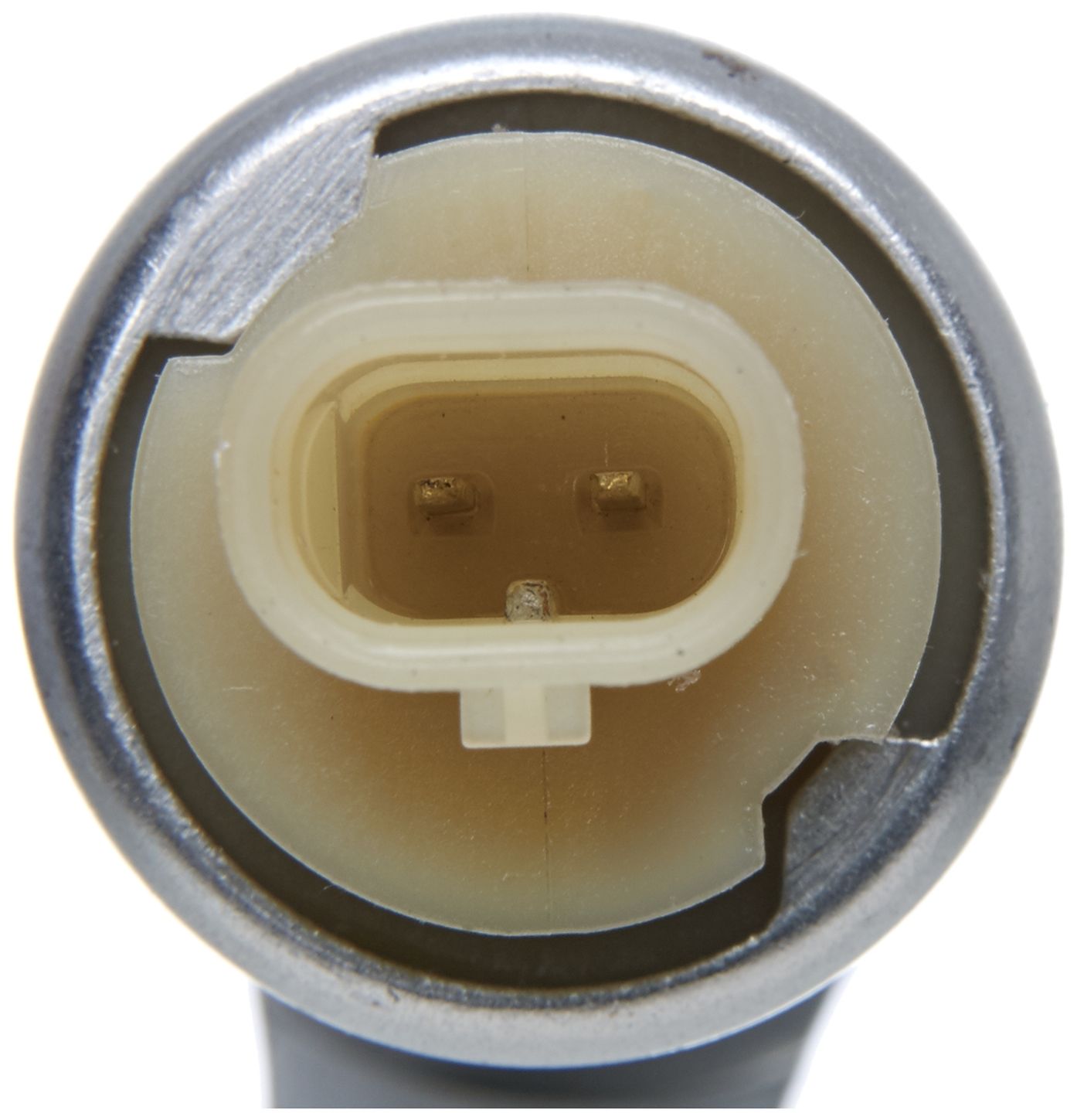 VVS238-3_CON_A.jpg