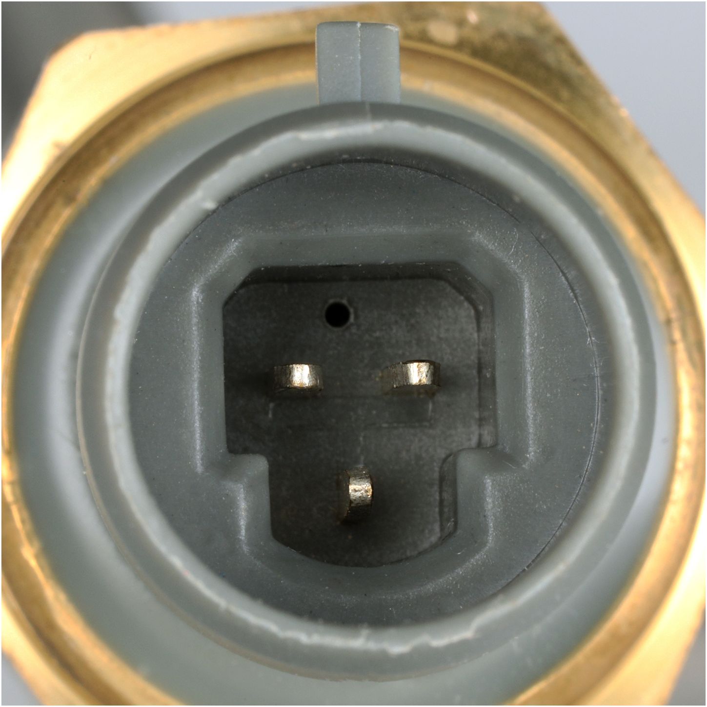 EMH299-2_CON_A.jpg