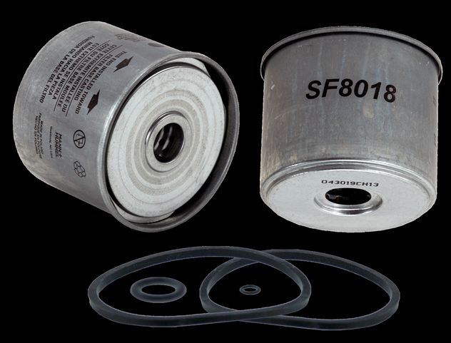 WF8018.jpg