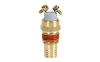 thermoswitch.jpg