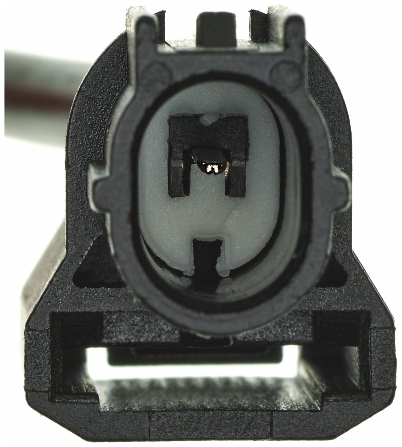 VVS313-2_CON_A.jpg