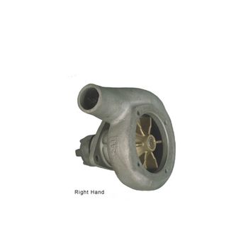 RW1181.jpg