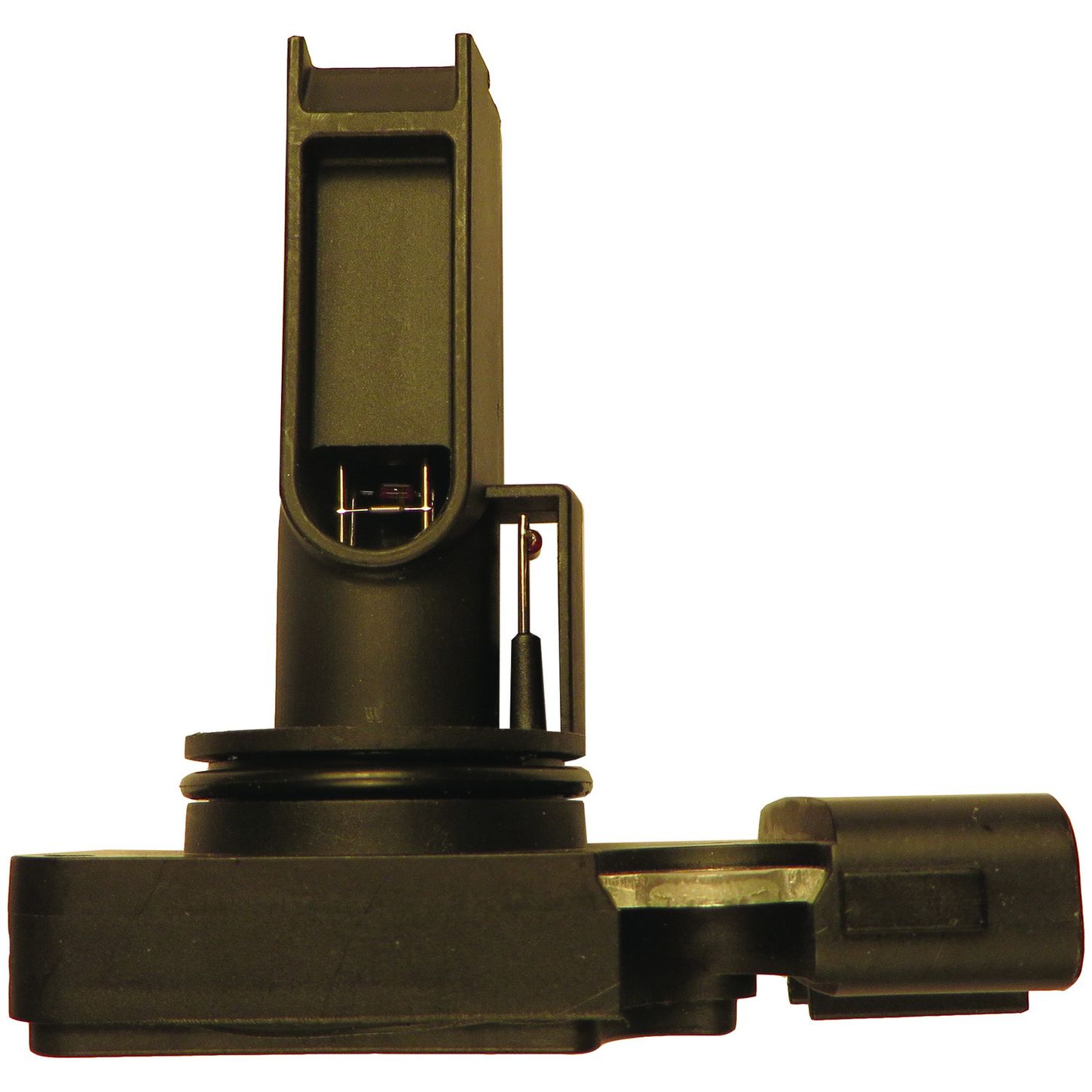 MAF10146 SID