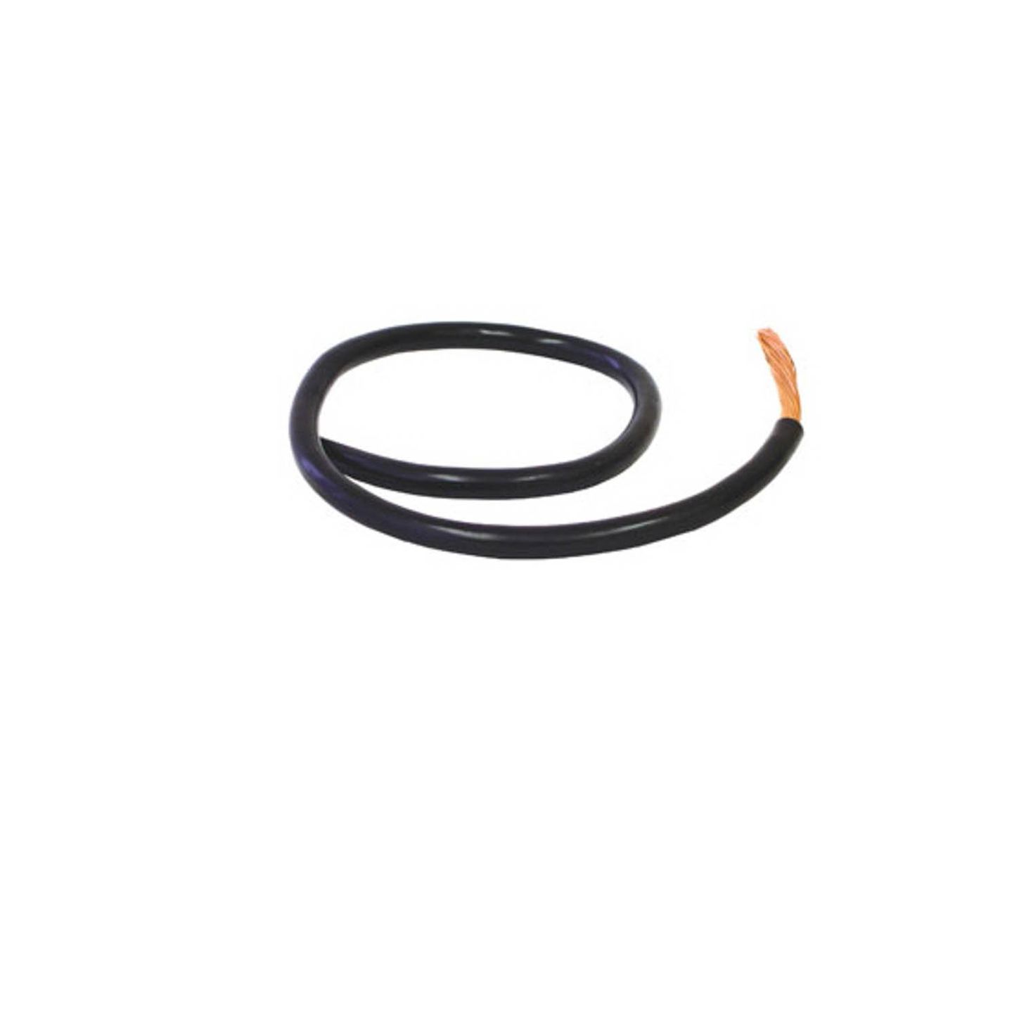 BE28806.jpg
