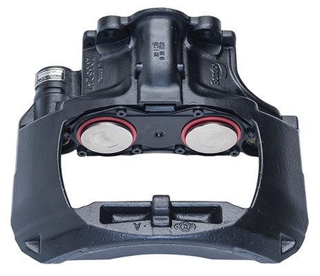 RDB109958X.jpg