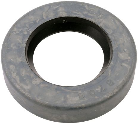 8703_2.JPG