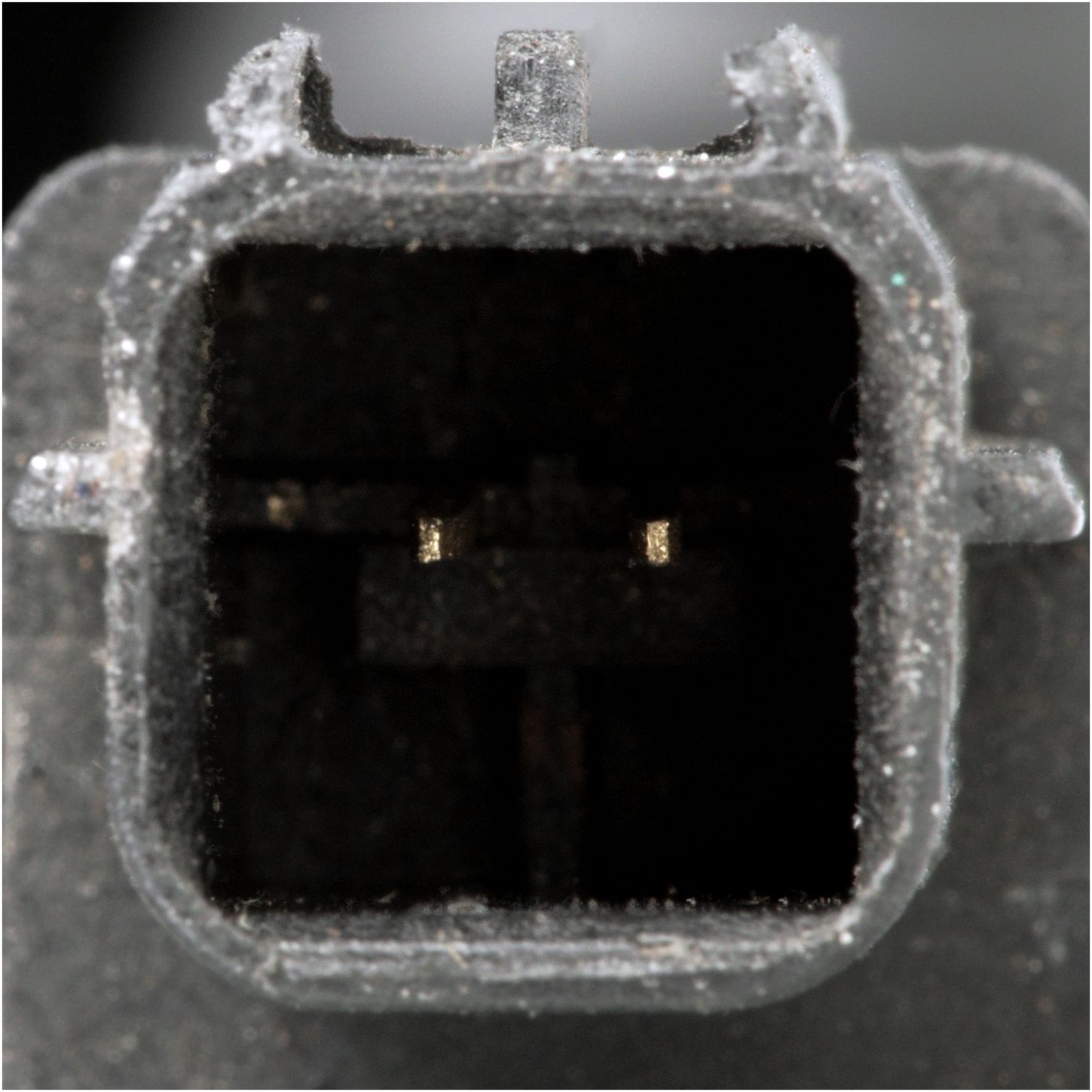 EHV129-4_CON_A.jpg