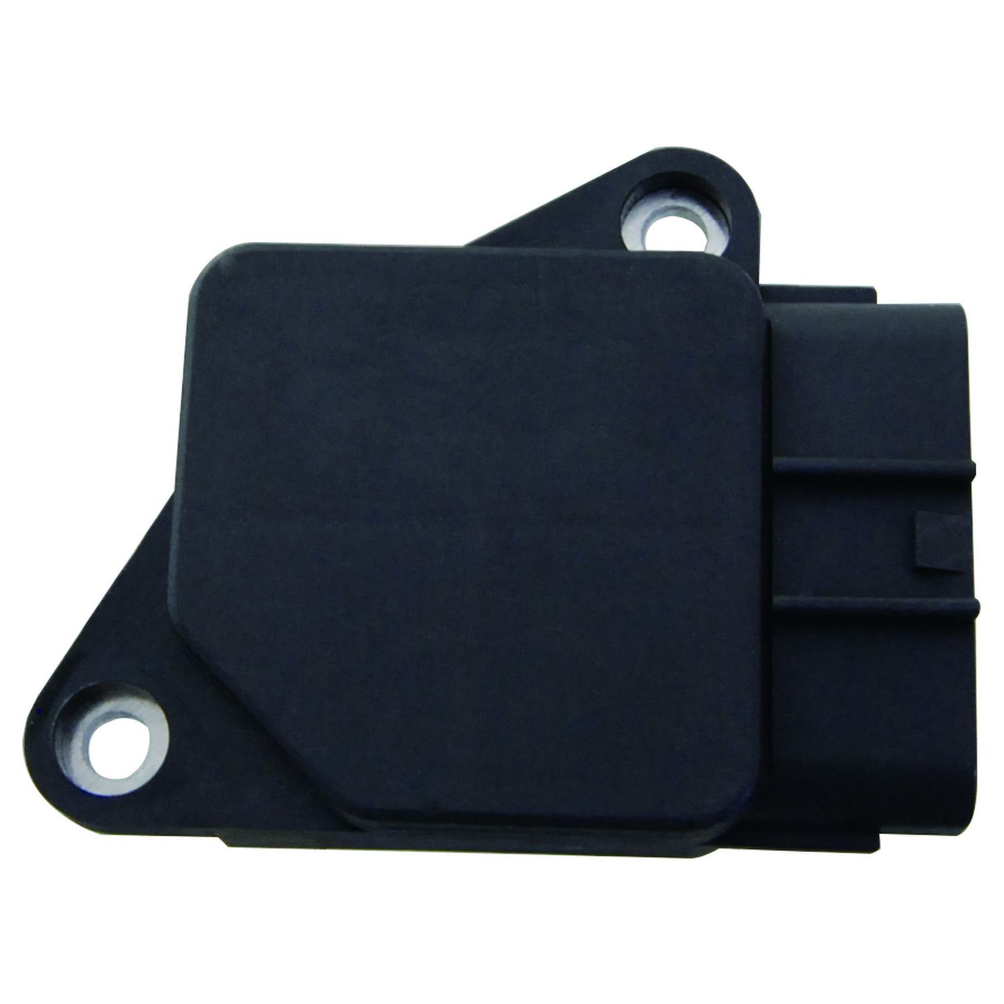 MAF10136 BAC