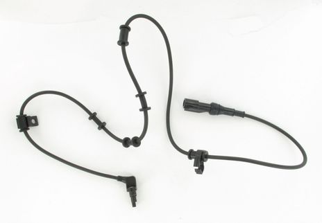 SC453_1.JPG
