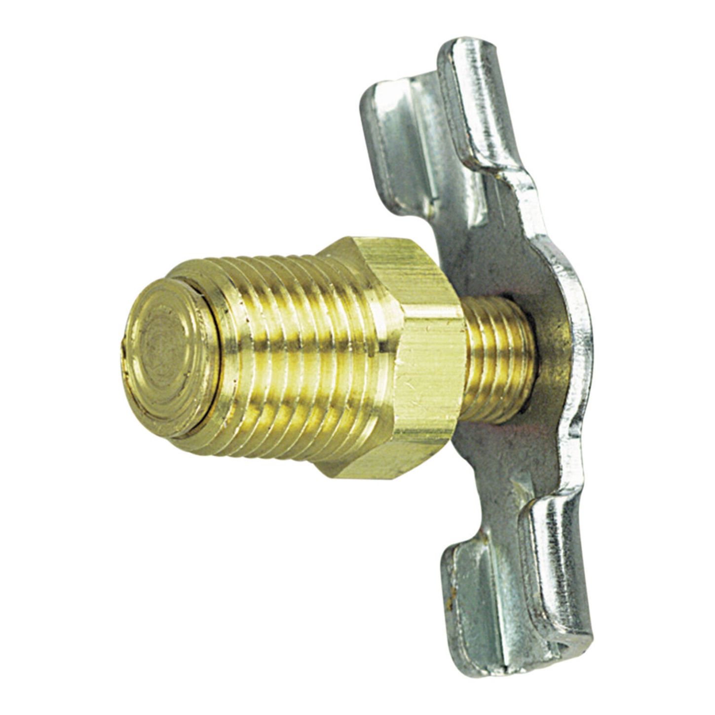 TRFL21555_1_x-large.jpg