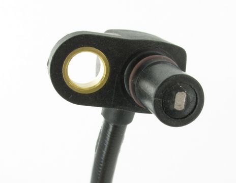 SC497_2.JPG