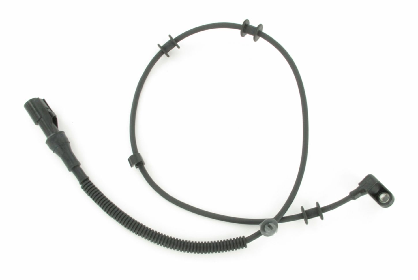 SC459_1.JPG