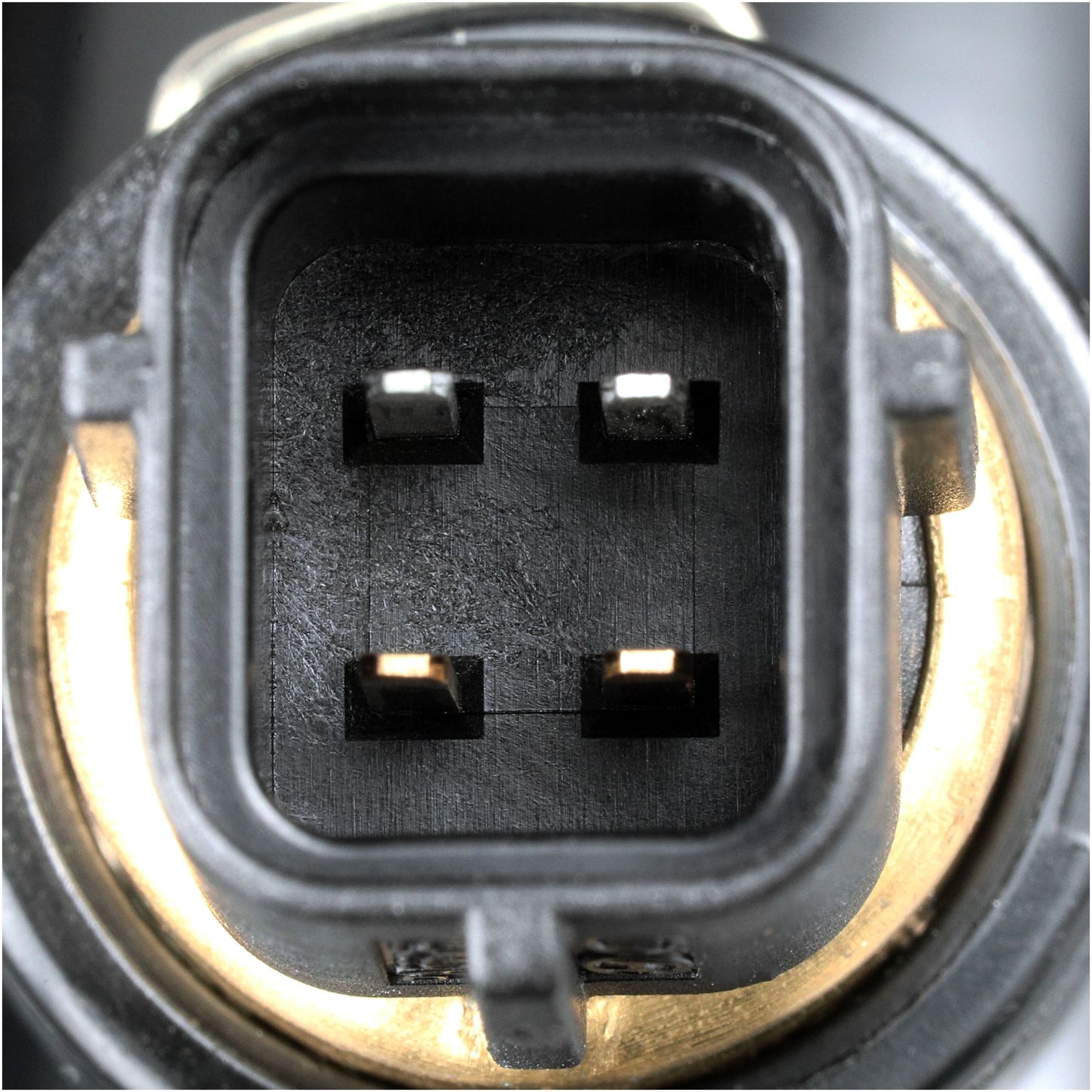 CO34983-4_CON_A.jpg