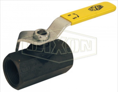 IBV125