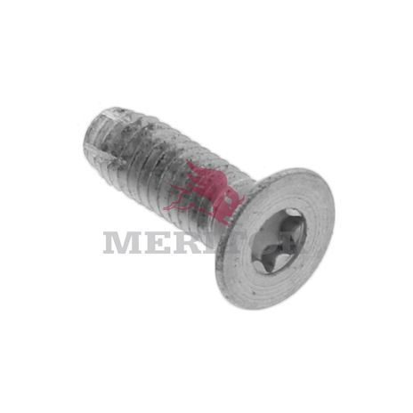 10X1773 photo front 1310