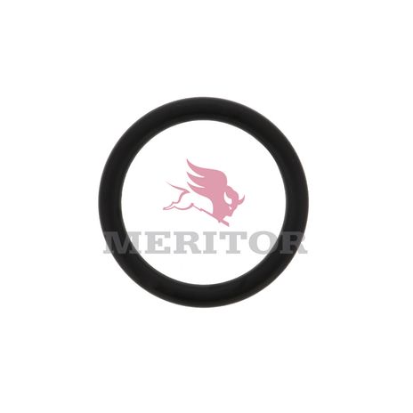 5X1198 photo front 32158