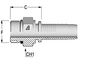 A-2020-MORB