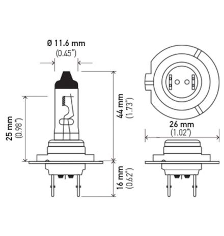 H7 24V.PT01.jpg