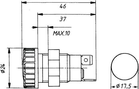 008594001.PT01.jpg