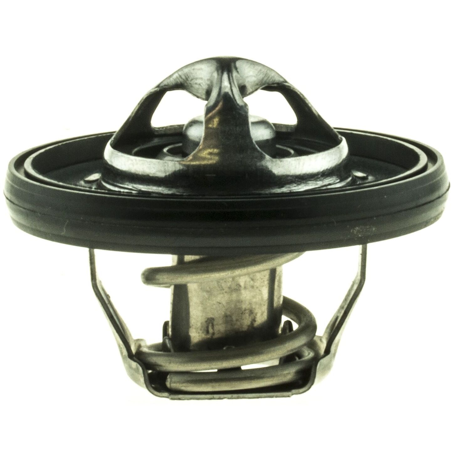 MOTR5420195 1