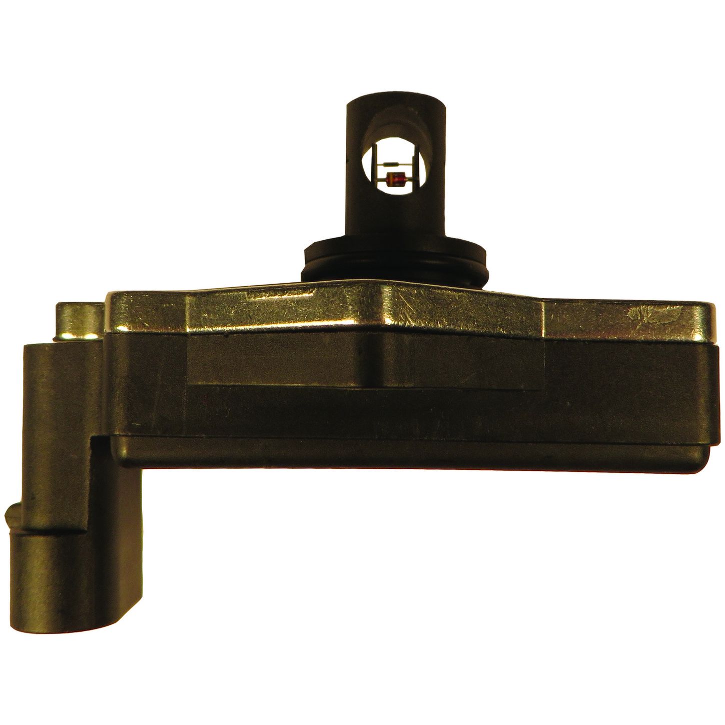 MAF10242 SID