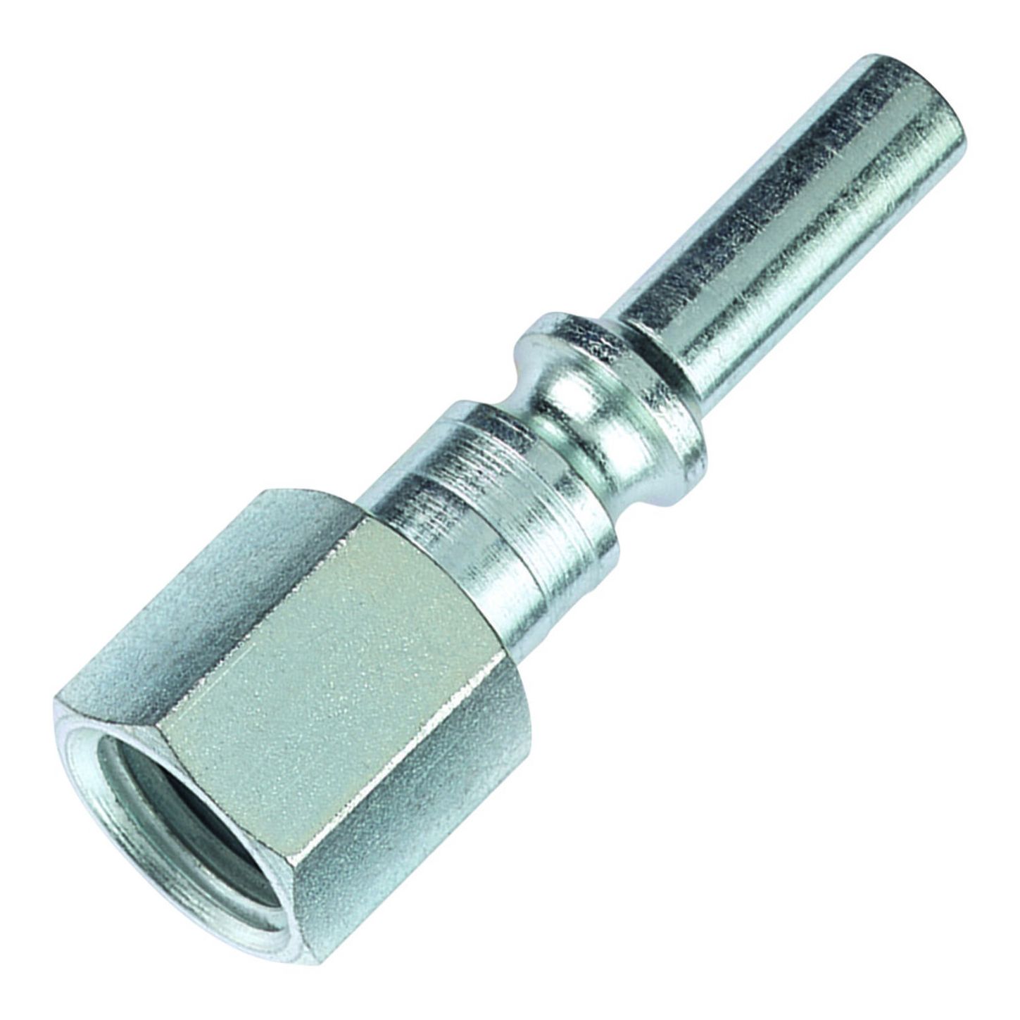 AMFLCP28_1_x-large.jpg