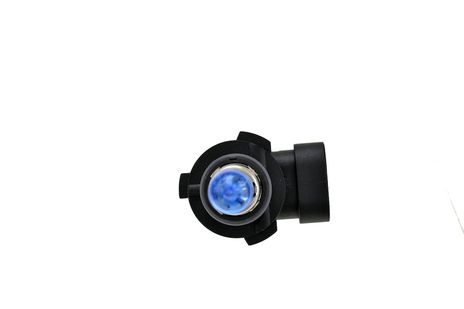 H71070347.TOPP.jpg