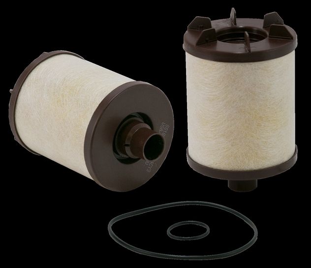WS10107.jpg