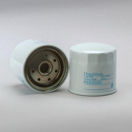 p502020.jpg