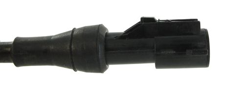 SC743_3.JPG