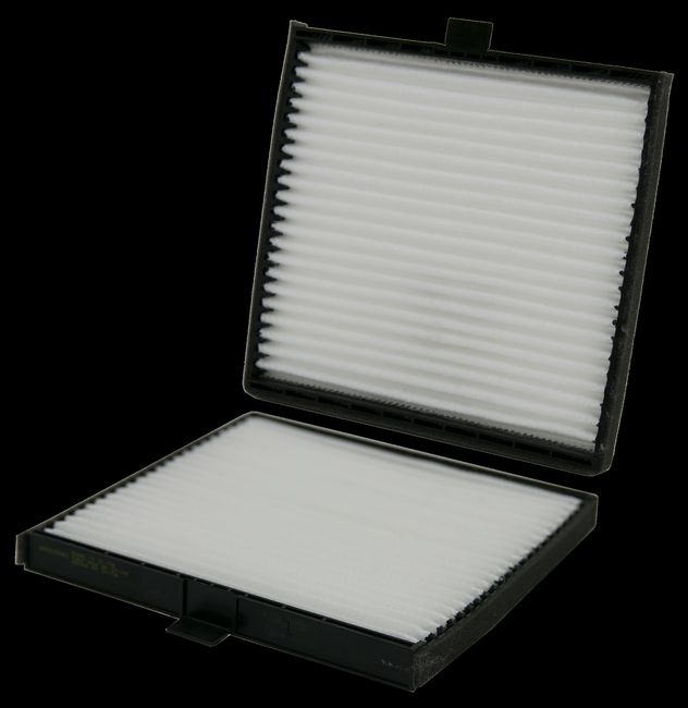 WP10168.jpg