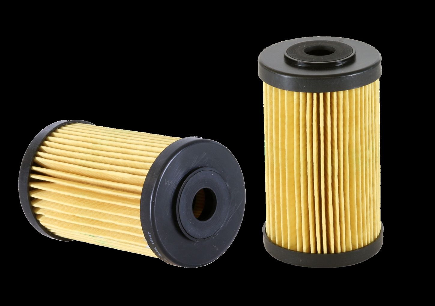 WF10185.jpg