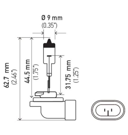 H71071222.PT01.jpg