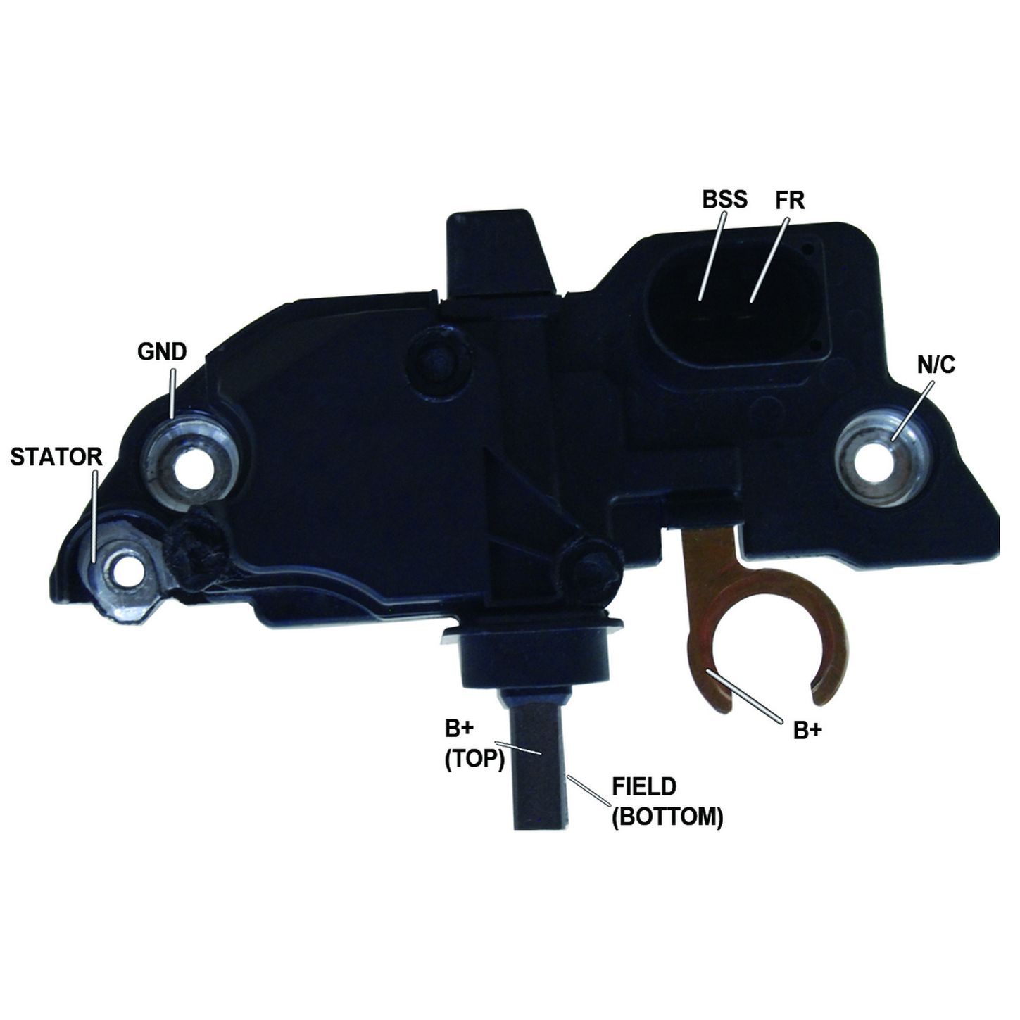 IB293 PD