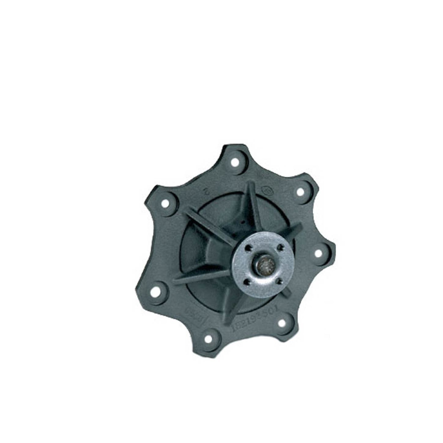 RW6313.jpg