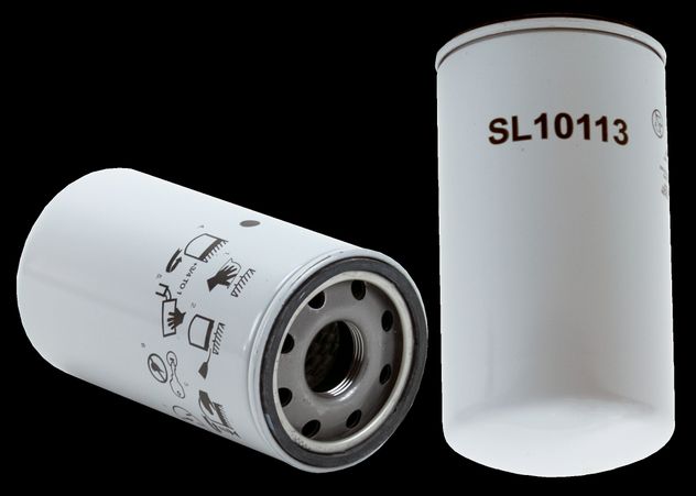 WL10113.jpg