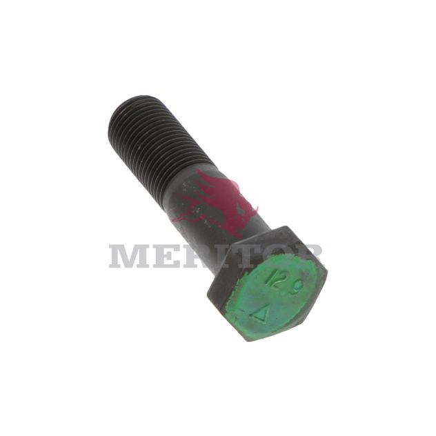 41X1555 photo front 30863