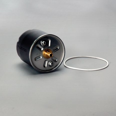 p574862.jpg