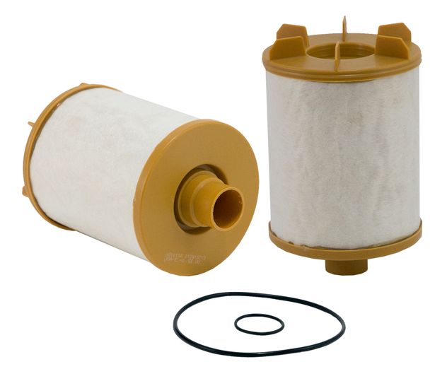 WS10116.jpg