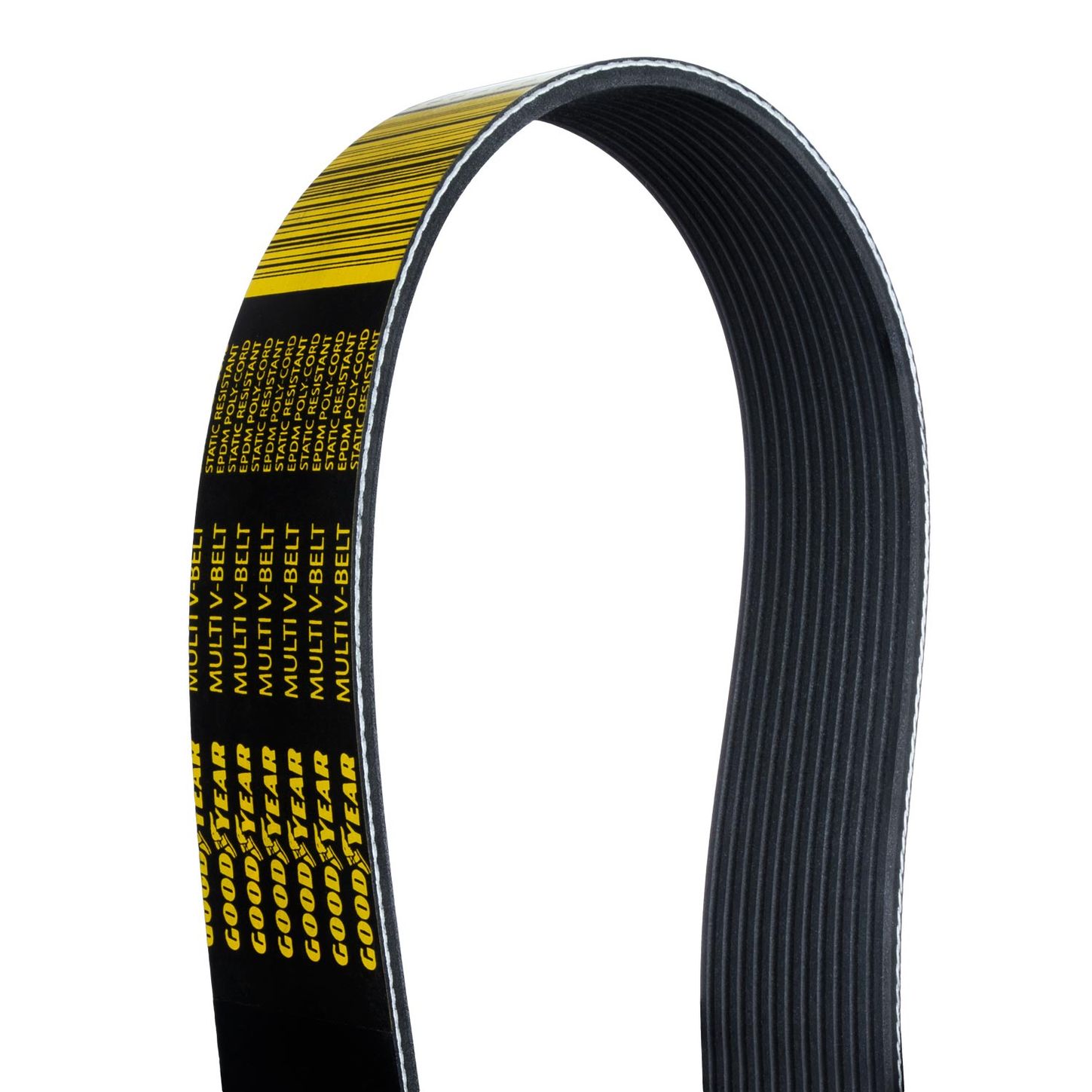 12PK-Close-Up-Belt-Backside