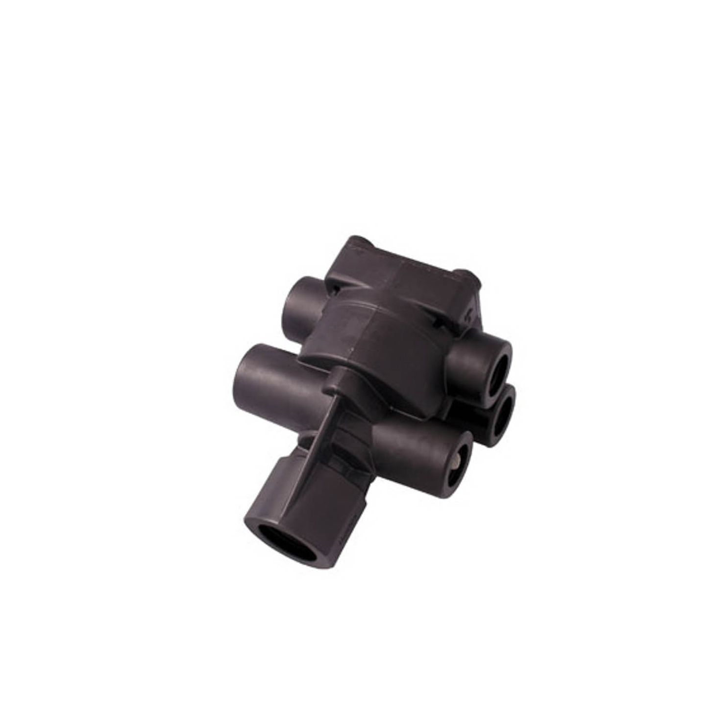 KN26120.jpg