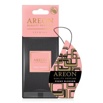 AREODP06 1