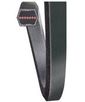 AA INDUST DBL BELT