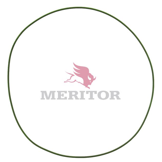 982108 photo front 40173