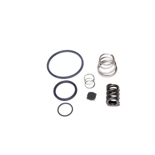 a/c-service-valve-repair-kit-RN10GJ.jpg