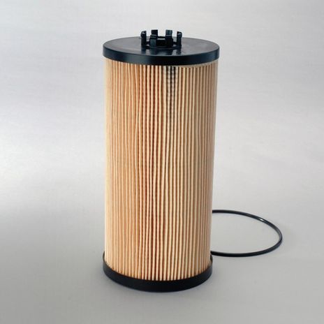 p550769.jpg