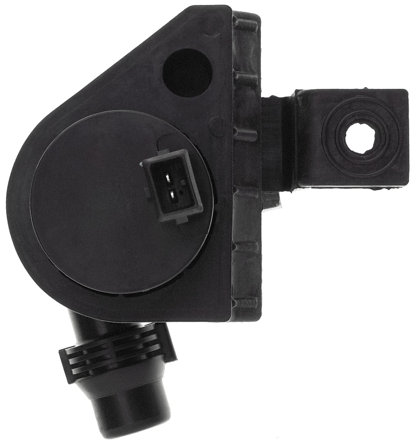 41531E-3_BOT_A.jpg