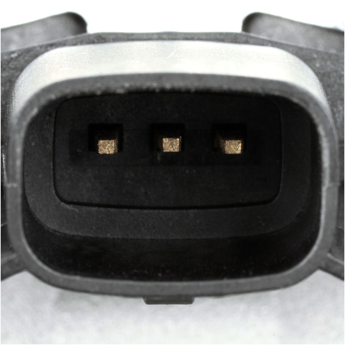 VVS379-4_CON_A.jpg