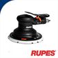 RUPRH359A